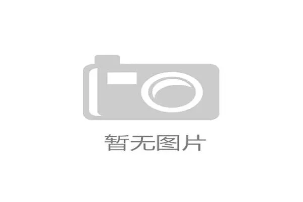 Aleksib深度访谈:探讨指挥与教练角色的独特理解与实践经验