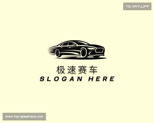了解极速赛车